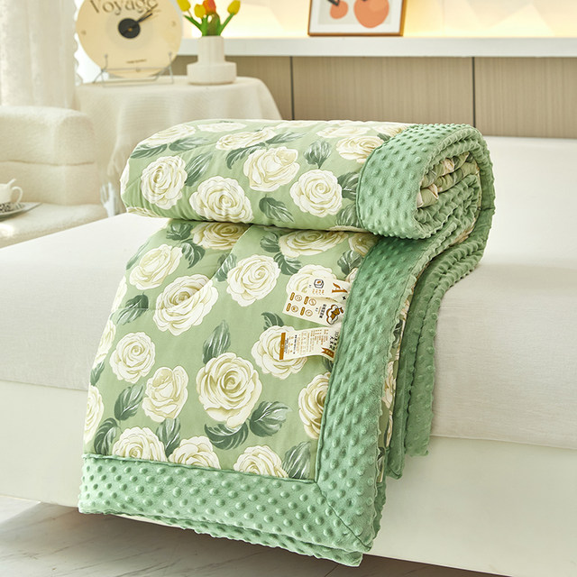 High-end adult beanie quilt 2023 new winter double quilt thickened category A maternal and infant grade children's spring and autumn quilt core