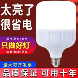 Led Light Bulb for Home Use E27 Screw Base Energy-Saving Lamp White Light Super Bright Indoor Eye Protection Flicker-Free High-Power Lighting Bulb