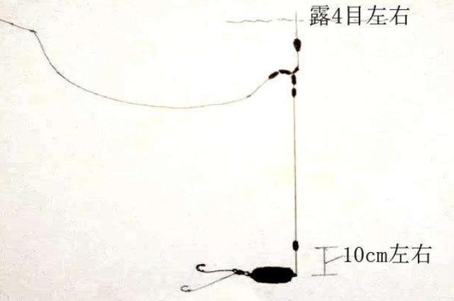 野钓我只需动动铅坠，每周连钓五天6