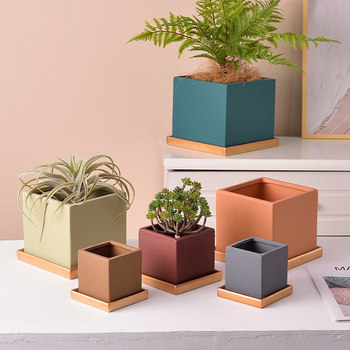 Recommended by Nordic Simple Sifang Flower Pot Gardening Experts
