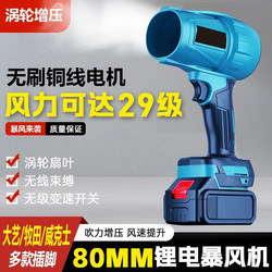 Lithium Battery Hair Dryer, Powerful Fan for Car Washing, Water Blowing, Dust Removal, Snow Removal, Wireless Turbo Ducted Rechargeable Blower