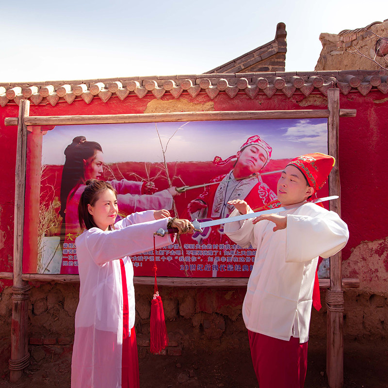 银川一日游宁夏旅游镇北堡西部影城贺兰山岩画西夏陵1-6人纯玩团