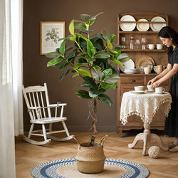 Simulated Green Plant Rubber Tree, High-End Large Indoor Bionic Plant, High-End Plant Photography Props, Fake Tree Decorative Ornaments