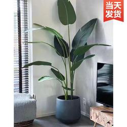 Artificial Green Plants, Fake Plants, Traveler's Banana, Large Potted Plants, Flower Arrangements, Indoor Artificial Green Plant Decorations, Tree, Bird of Paradise