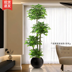 Artificial Plant Money Tree, Large Floor-Standing Fake Green Plant for Living Room, Indoor Home Decoration Ornament, Artificial Flowers
