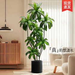 Simulated Green Plants, High-End Light Luxury Brazilian Wood Indoor Living Room Decoration, Floor-Standing Ornaments, Simulated Fake Plants, Potted Landscaping