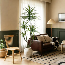 High-End Luxury Artificial Green Plant, Millennium Iron Floor-Standing Potted Plant, Fake Flower Tree, Indoor Living Room Sofa Side Decorative Ornament