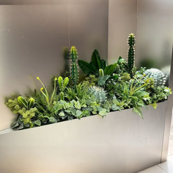 Simulated Green Plant Cactus Landscaping Combination Indoor Landscape Large Decorative Cactus Tropical Succulent Plant Artificial Tree