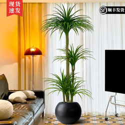 Simulated Green Plant Dracaena for Landscaping, High-End Light Luxury Living Room Interior Decoration, Large Potted Plant with a Sense of Sophistication, Floor-Standing Ornament