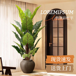 Simulated Green Plant Rainbow Taro for Living Room and Office, High-End Bionic Indoor Plant Potted Decoration, Floor-Standing Decorative Artificial Tree