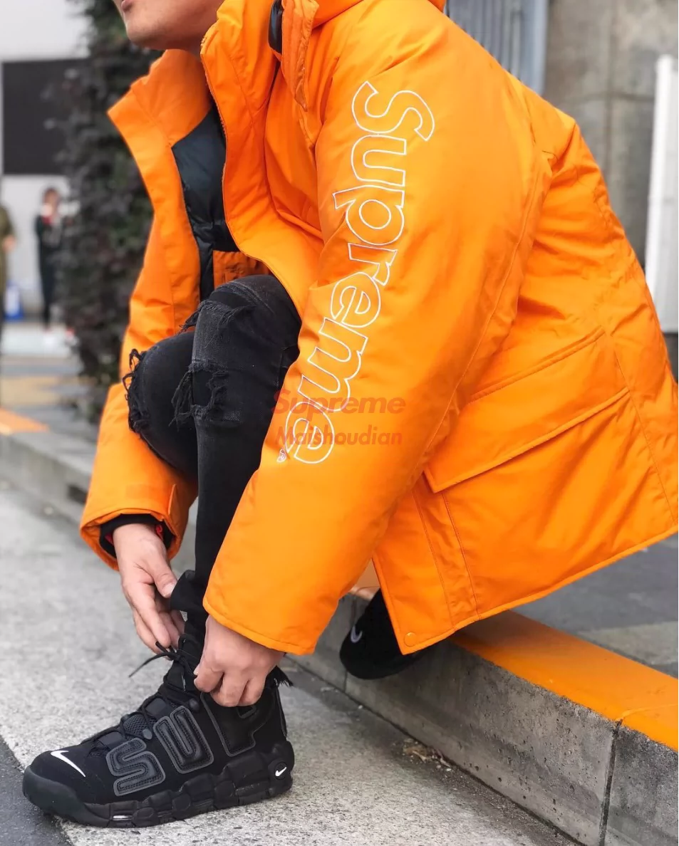 清仓价】Supreme 700 fill down parka 麒麟臂防寒羽绒服-Taobao