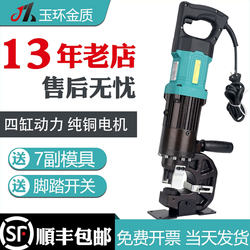 Yuhuan Mhp-20 Portable Electric Hydraulic Punching Machine, Portable Hole Puncher for Angle Iron and Steel Plate, Includes Mold