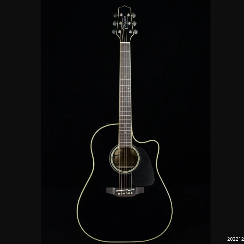 Takamine TDP861C BL 中古