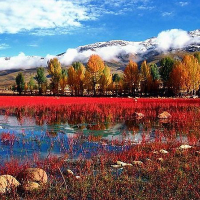 成都直飞稻城亚丁海子山红草地3天2晚自由行(专车+豪华酒店)