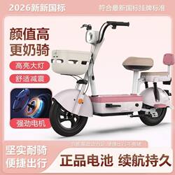 New Model Metaverse Electric Vehicle, National Standard 48V Electric Bicycle, Two-Wheeled Small Electric Scooter for Adults, New National Standard