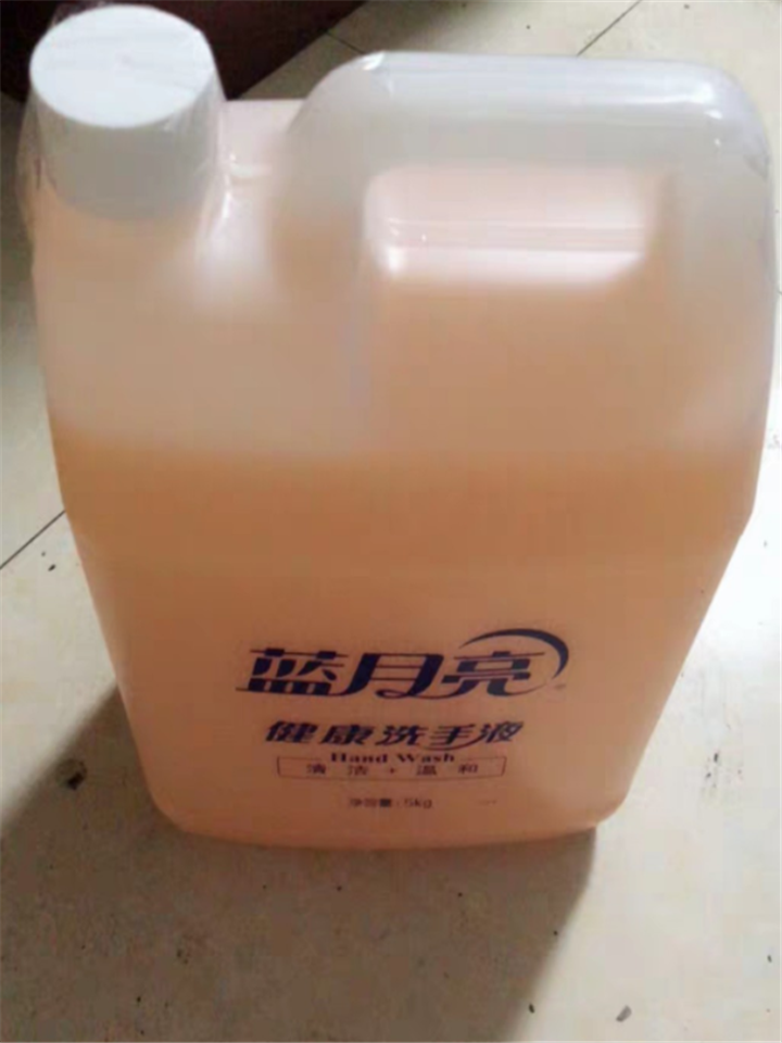 新歆家居  蓝月亮健康洗手液5kg*2