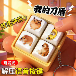 My Knife and Shield Button Sound Stress-Relief Toy, Bibi Labu Voice Four-Grid Keychain, Internet Celebrity Prank Gadget