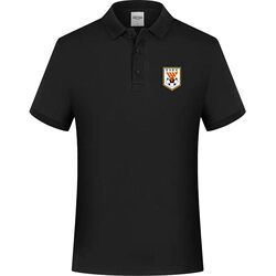 Football Shandong Taishan Team T-Shirt Shandong Luneng Short-Sleeved Fan T-Shirt Men's and Women's Football Sports Casual Large Size Summer