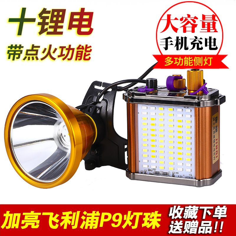 IIGNABLE LED  Ʈ     Ӹ       ũ   3000-