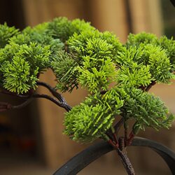 Artificial Cypress Tree Branches for Bonsai, Pine and Cypress Leaves, Artificial Thuja, Round Cypress, Hospitality Pine, Hotel Decorative Branches
