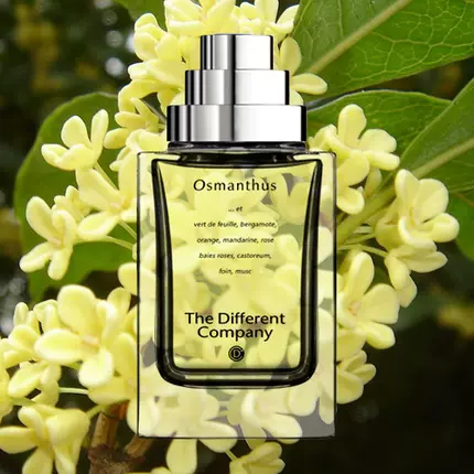 The Different Company Osmanthus 桂月飘香幽幽中国桂花香水EDP-Taobao