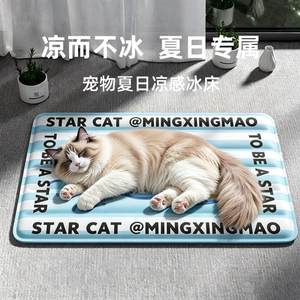 Pet ice mat, darts, dogs summer cold cushion cat ice mattress sleeping cushion cooling supplies summer ice nest
