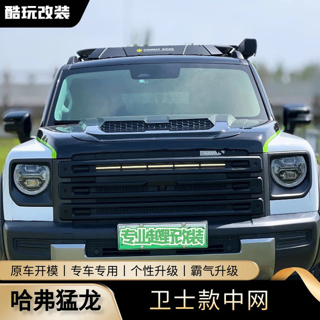 Haval Raptor Modified Haval Raptor Guardian Mid -grille Insertilitic Filial Net Strip Light ...