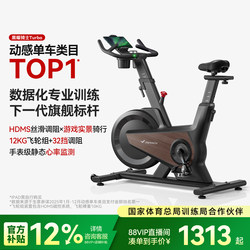 Merrick Dynamic Bicycle for Home Use, Silent Indoor Exercise Bike, Fitness Equipment for Weight Loss, Black Obsidian Knight
