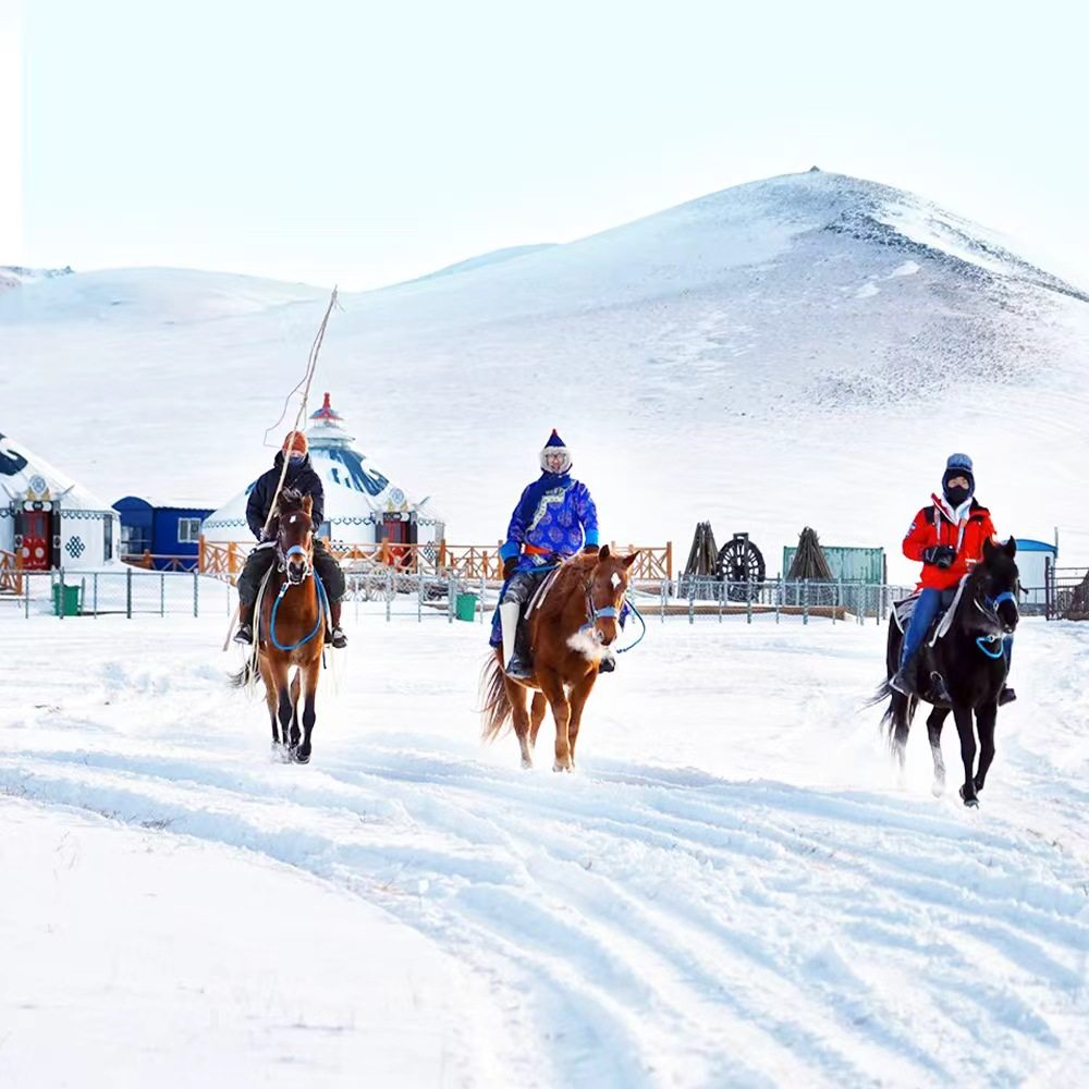 【赏雪之旅】呼伦贝尔大草原旅游5天4晚纯玩自由行包 车内蒙古