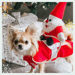 
Amazon Dogs and Cats Medium and Large Dogs Golden Retriever Christmas Cat Clothes Riding Outfit Santa Claus Dog Pets.2