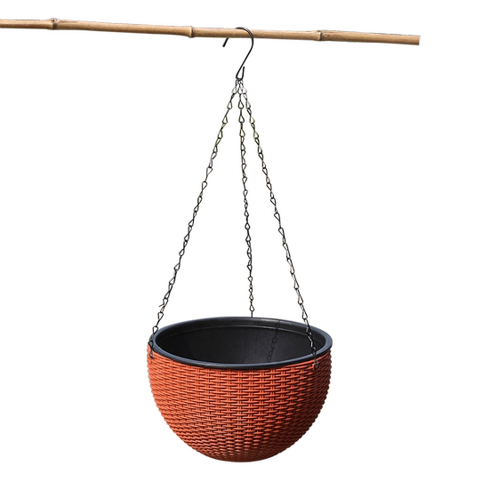 Dynamic hanging orchid pot hanging plastic scratch ribbon hanging basket lazy water absorption wall green dill Changchun vine hanging ball thickened