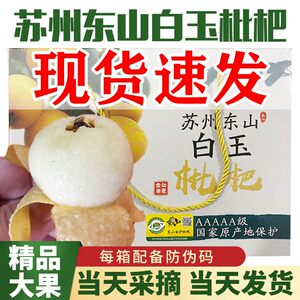 
Extra large Suzhou Dongshan white jade crown jade loquat fruit fresh fruit pregnant women fruit Pipa fresh fruit large fruit gift box