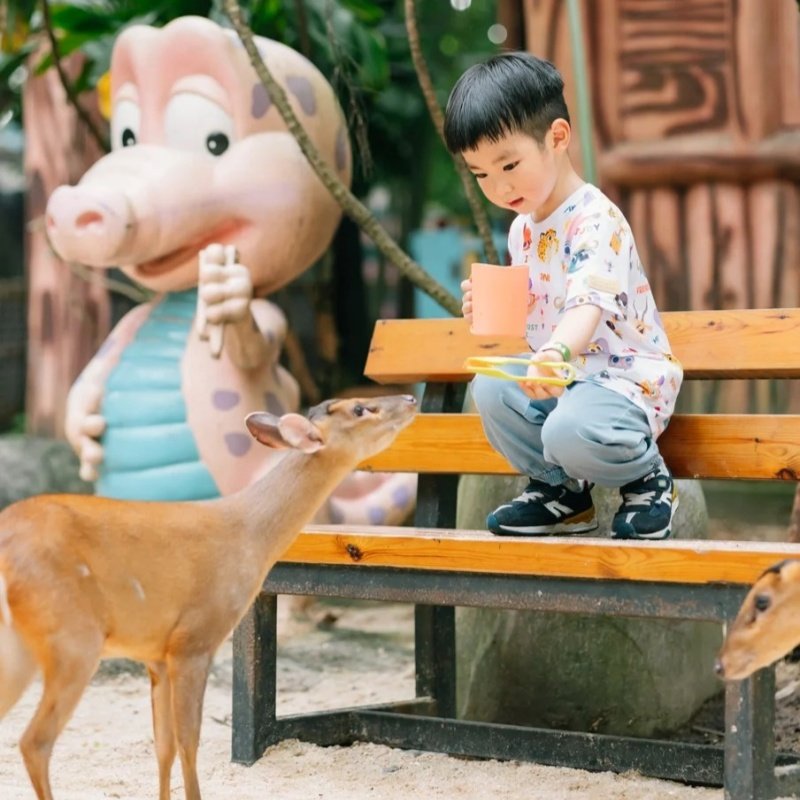 广州+珠海 双长隆【4天3晚私家团】野生动物园/欢乐世界/海洋王国
