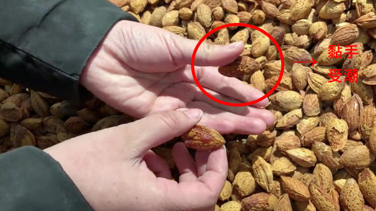 脆香可口巴旦木.健康营养小零食(图16)