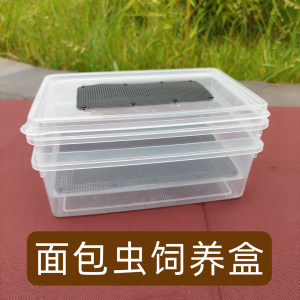 
Bidworm breeding box special transparent breathable double-layer design feces automatic filtering crawler feeding box