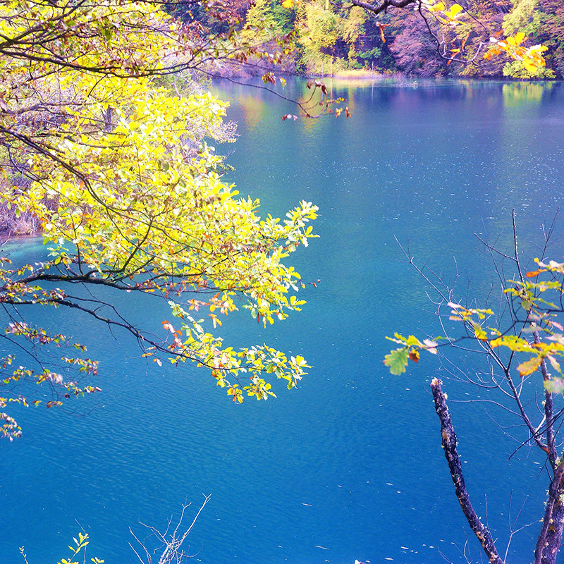 四川成都高铁汽车到九寨沟黄龙旅游2天1晚二日跟团游纯玩团两日游