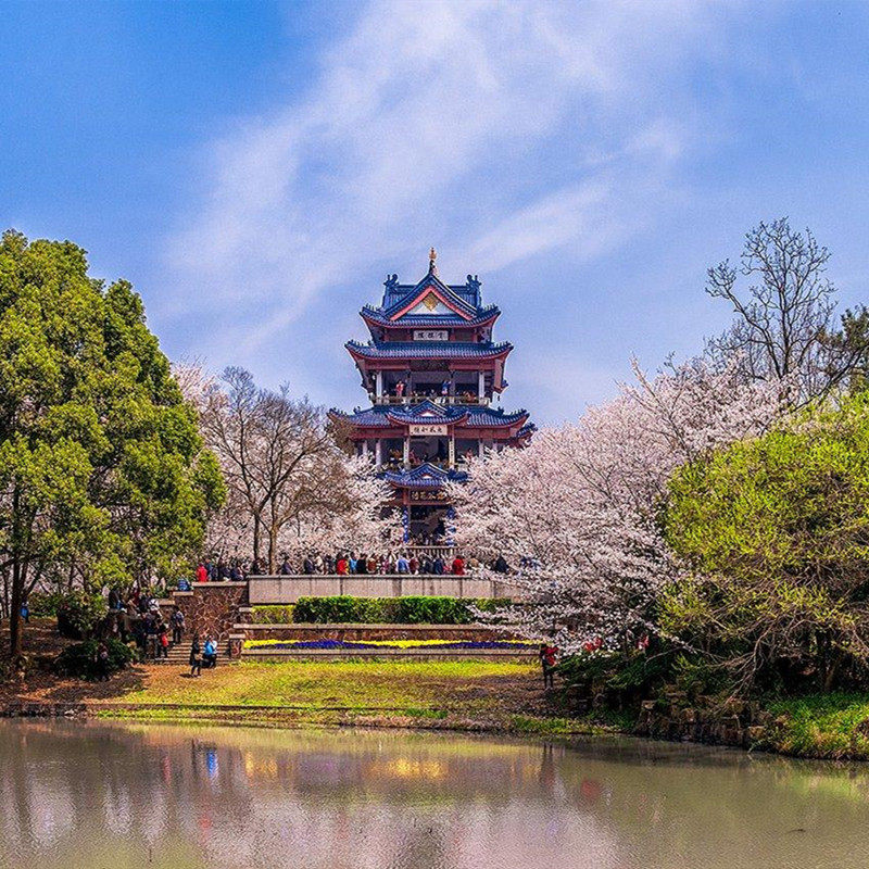 【华东旅游】苏州拙政园+无锡太湖+南京总统府+上海东方明珠4日游
