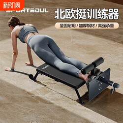 Nordic Multifunctional Abdominal and Back Trainer Roman Chair Goat Stretch Bench Prone Reverse Leg Lift
