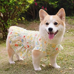 Corgi Clothes Shiba Inu Bichon Dog 2026 Spring and Summer Thin Princess Dress Vest Anti-Shedding Sun Protection