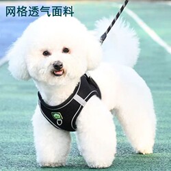 Vest-Style Dog Leash for Small Dogs, Bichon, Teddy, Pomeranian, Puppy Harness, Dog Walking Leash, Dog Chain