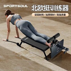 Nordic Multifunctional Abdominal and Back Trainer Roman Chair Goat Stretch Bench Prone Reverse Leg Lift