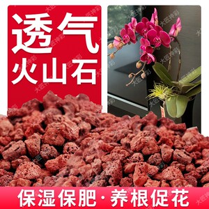 
Volcanic stone for flower cultivation, butterfly orchids, small-grain succulent paving stone, fish tank landscaping bottom sandstone moss