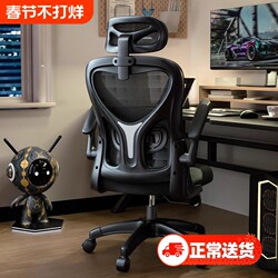 Computer Chair, Comfortable for Long Sitting, Home Use, with Backrest, Office Chair, Student Study, Ergonomic, Gaming, Comfortable, Bedroom
