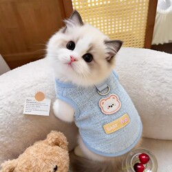 Breathable Cat Clothes, Summer Thin Anti-Shedding Fabric, Cute Vest for Ragdoll and Silver Gradient Cats, Dog Harness-Compatible Clothing for Summer