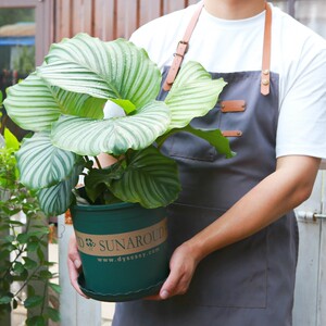 
Home balcony plastic flower pot resin durable gallon pot rose rose potted green plant special pot special price clearance