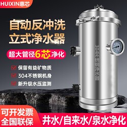 Whole House Central Water Purifier, Large Flow Stainless Steel Ultrafiltration Water Purifier, Household Tap Water Pre-Filter, Rural Area