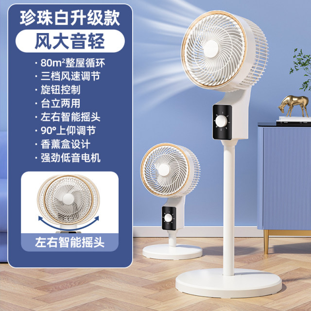 Large Wind Fans Circulation fan electric fan home silent 2024 new floor-standing ...