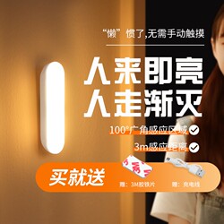 Human Body Sensor Night Light Charging Thousands of People Buy More