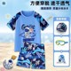 
Children's swimsuits, boys, boys, split, young, medium and old children 2024 new summer training, sun protection, professional swimming