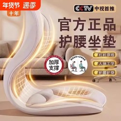 Authentic Ergonomic Lumbar Support Cushion for Long Sitting, Office Chair Backrest, Posture Correction Pad